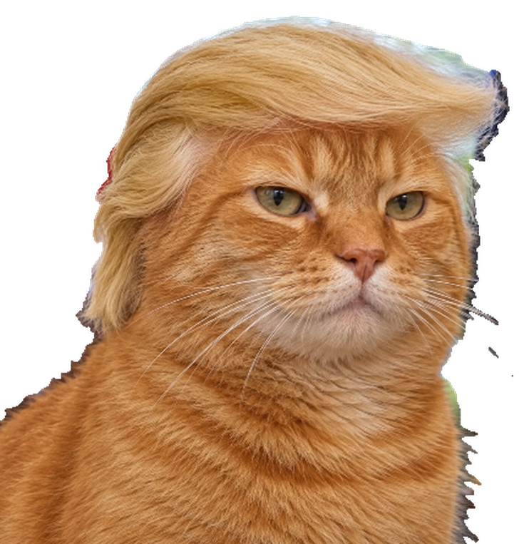 Trump Cat, cut out from its background